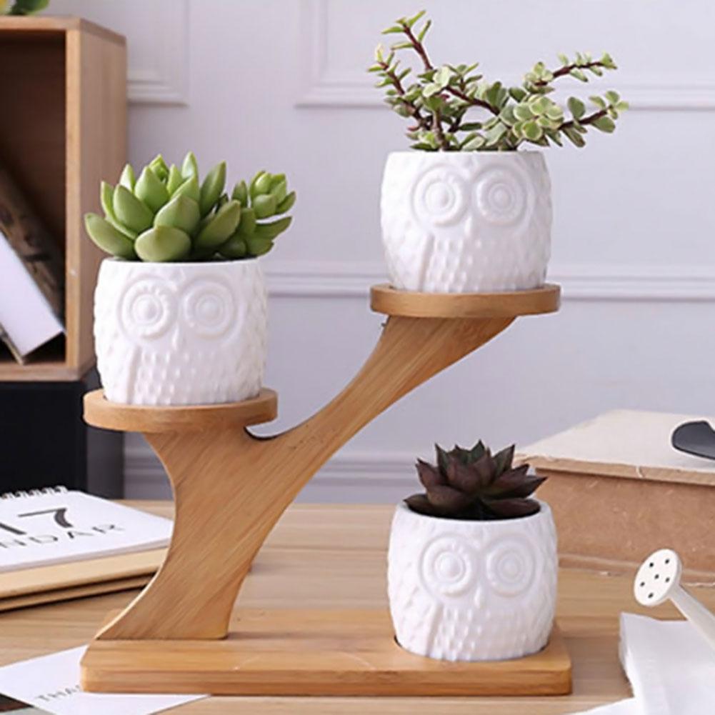 Succulent Pots & Bamboo Shelf - Dream Home Finds