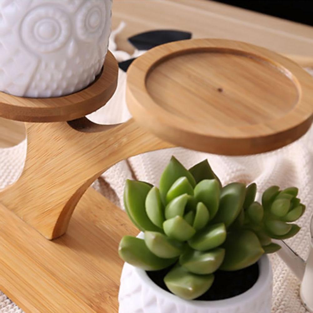 Succulent Pots & Bamboo Shelf - Dream Home Finds